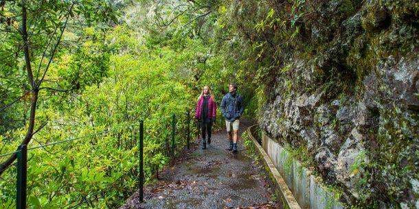 Rabaçal: Levada das 25 Fontes & Risco (PR6)